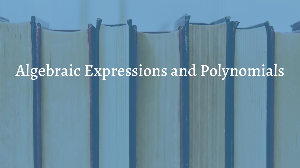 Algebraic Expressions and Polynomials