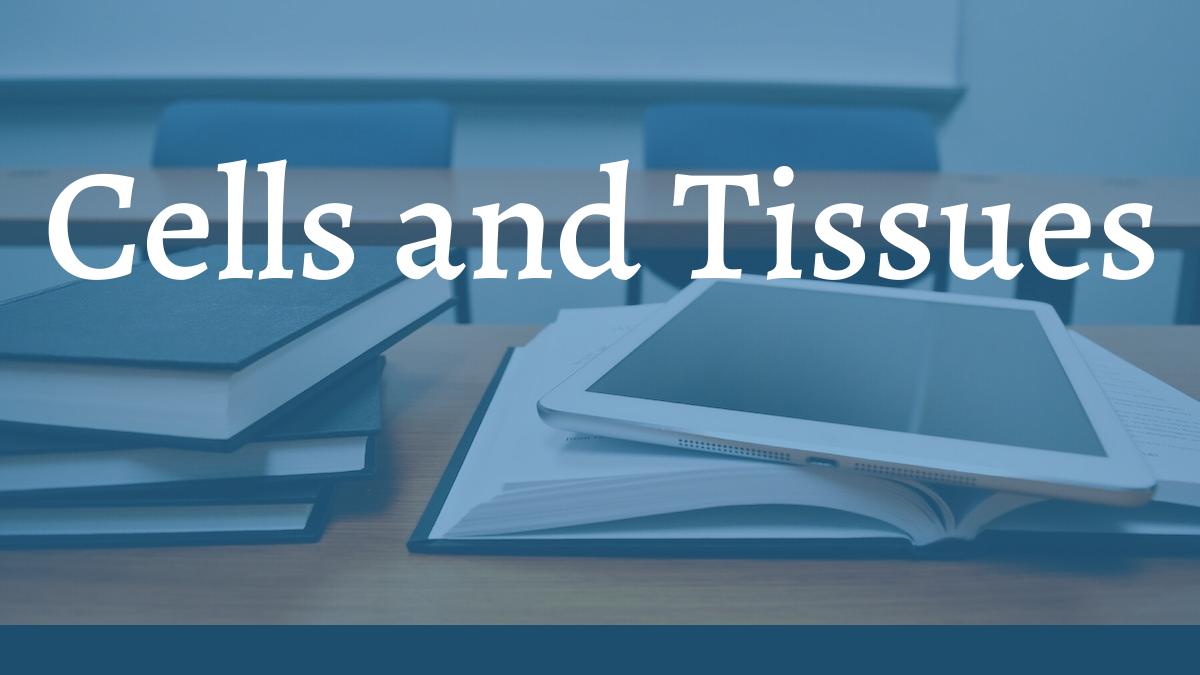 Cells and Tissues