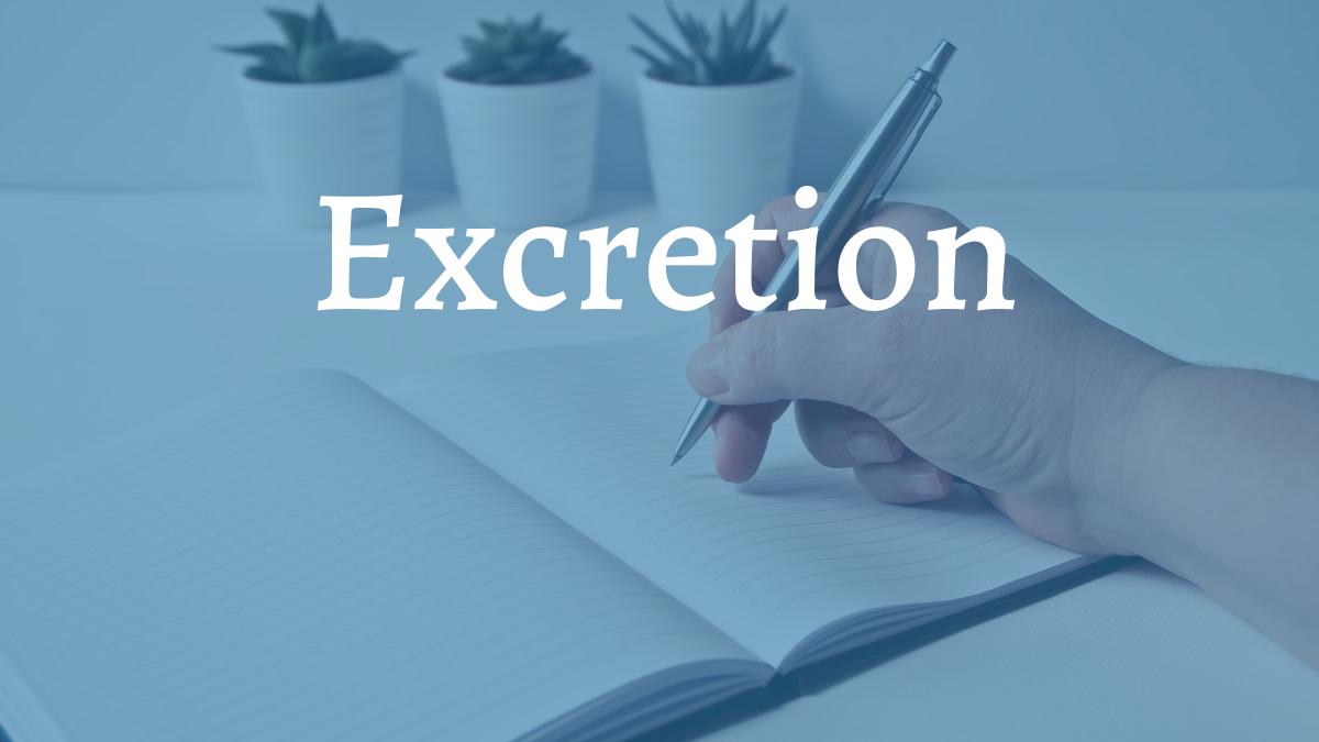 Excretion