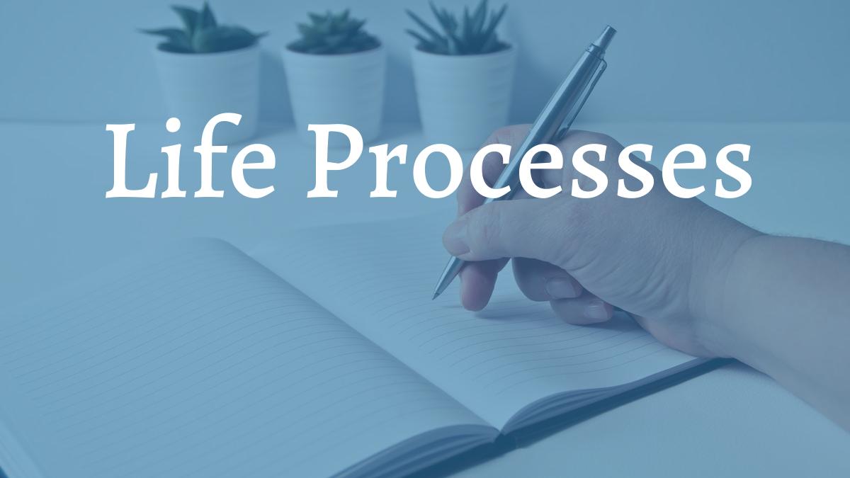 Life Processes